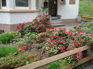 Ferienwohnung Mit Schlafzimmer Für Max Personen | Am Bach