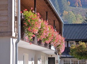 Albhof Wasserfall Blasien Lhs | St. Blasien
