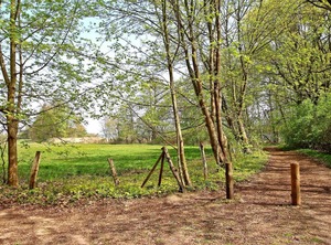 Ferienwohnung Malchow See | Muritz