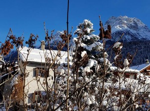 Schombrina | Engadin Scoul