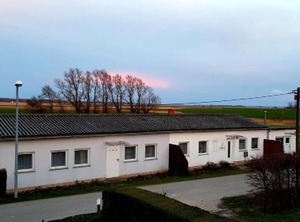 Thees | Lieschow