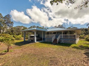 Ferns Frogs Forest Hale | Royal Hawaiian Estates