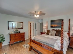 Ferns Frogs Forest Hale | Royal Hawaiian Estates