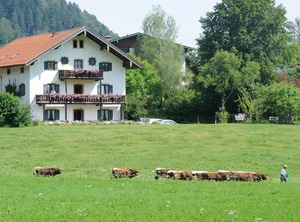 Maiergschwendt | Ruhpolding
