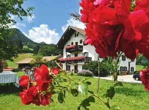 Maiergschwendt | Ruhpolding