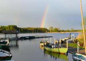 Fischereihof Liebe | Suesel