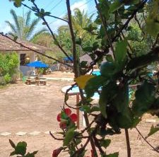 Village Paraíso Lua | Pipa