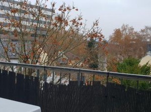 The City | Alt-Godesberg