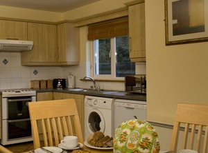 Forest Haven Holiday | Dunmore East