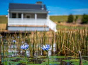 Forget Farm Cottages | Coopers Shoot