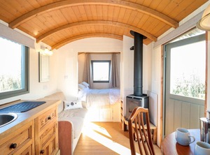 Forton Shepherds | Chard