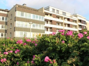 Freya | Westerland
