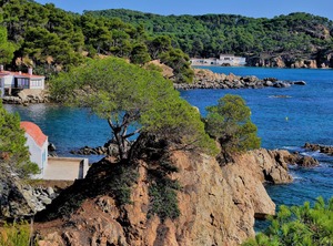 Royal Fosca Palamós | Palamos