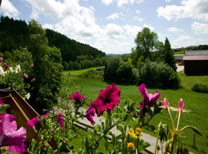 Vrbo Property | Medebach