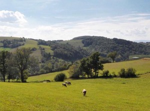 Maringes Persons | Maringes