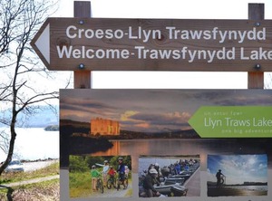 Gellfechan | Trawsfynydd