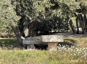 Tavernes | Tavernes