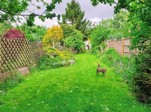 Cottage | Thornton Dale