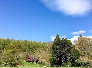 Lodge | Fortrose