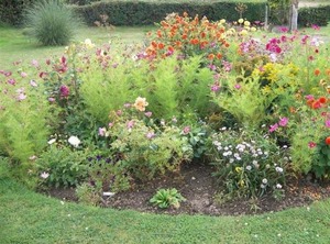 Grazeland Cottage Bridport | Bridport