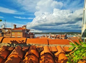 Grisia | Rovinj