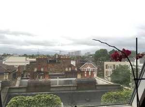 Primrose Hill | Golborne