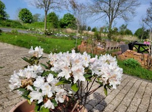 Fewo Gulfhof Anelis | Manslagt