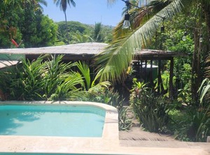 Hammock Plantation | Tamanique