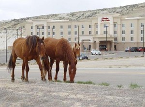 Hampton Inn Suites Green River | Green River