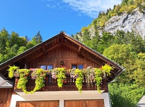Haus Annerl | Goessl