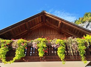 Haus Annerl | Goessl