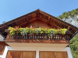 Haus Annerl | Goessl