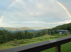 Highlands Wintergreen | Nellysford