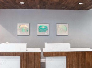 Hilton Garden Inn Plaza | Radnor - Fort Myer Heights