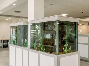 Hilton Garden Inn Hawk | Kitty Hawk