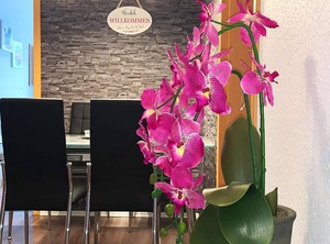 Ferienwohnung Hemer | Hemer
