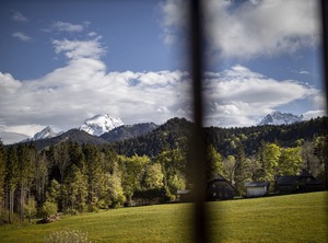 Wiesenhäusl | Winkl