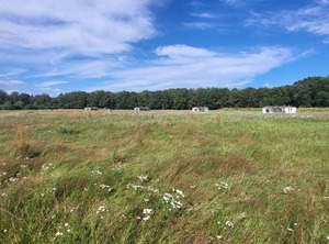 Hoeve Twente | Heythuysen