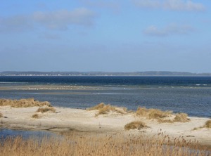 Ferienwohnung Für Personen Der Ostsee | Schonberger Strand