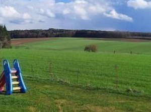 Ferienwohnung Burtenbach Für Personen Mit | Oberwaldbach