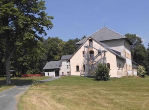 Holiday Surroundings Of The Edge Forest | Sayda