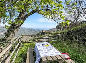 Da Prima Porta | Valloria