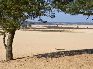 Holiday | Udenhout