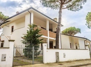Pino | Lido di Volano