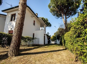 Pino | Lido di Volano