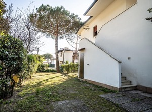 Pino | Lido di Volano