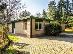 Lots Of Privacy The Forest | De Bult
