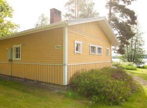 Keltalilja | Ikaalinen