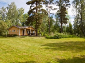 Keltalilja | Ikaalinen