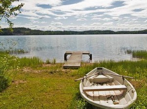 Keltavuokko | Ikaalinen